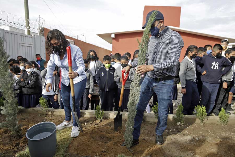 Realizó Mundo Tlatehui reforestación en Acatepec