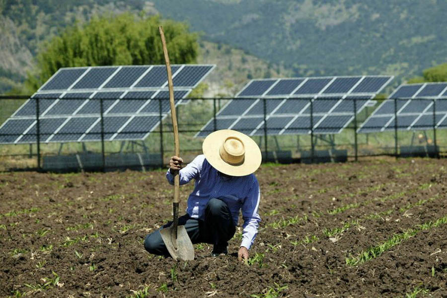 Impulsa estudiante de la Ibero agricultura solar en Atlixco