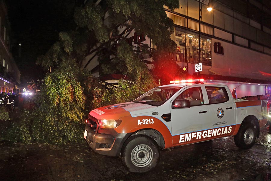 Aplastó árbol a menor de edad en pleno centro histórico