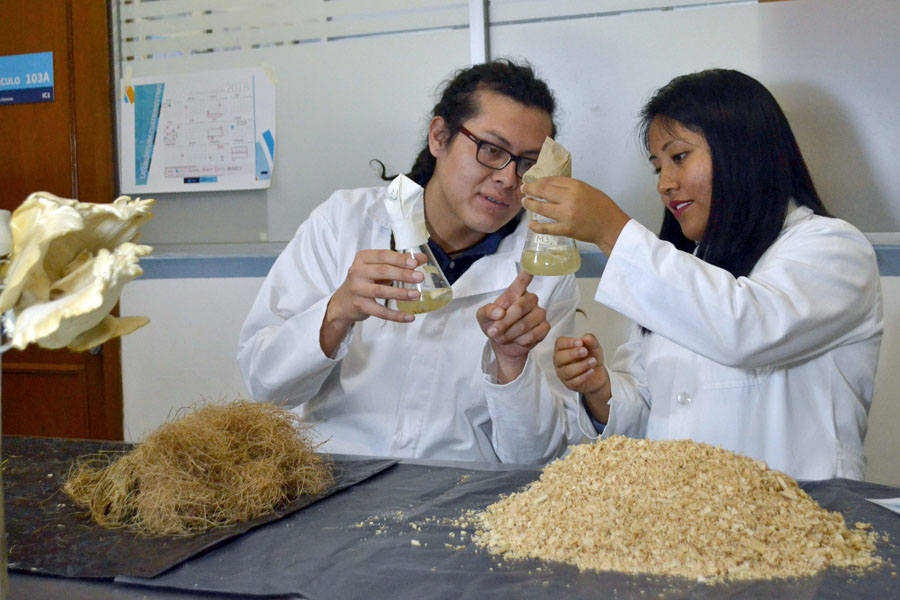 Tendrá BUAP Maestría en Tecnologías Agrícolas Limpias