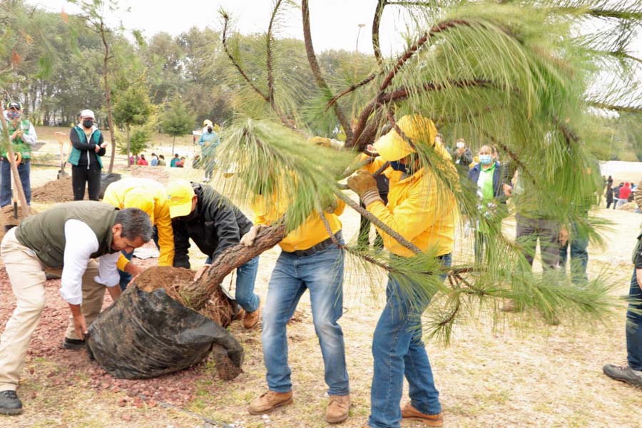 Suma Medio Ambiente 200 mil plantas sembradas en Puebla