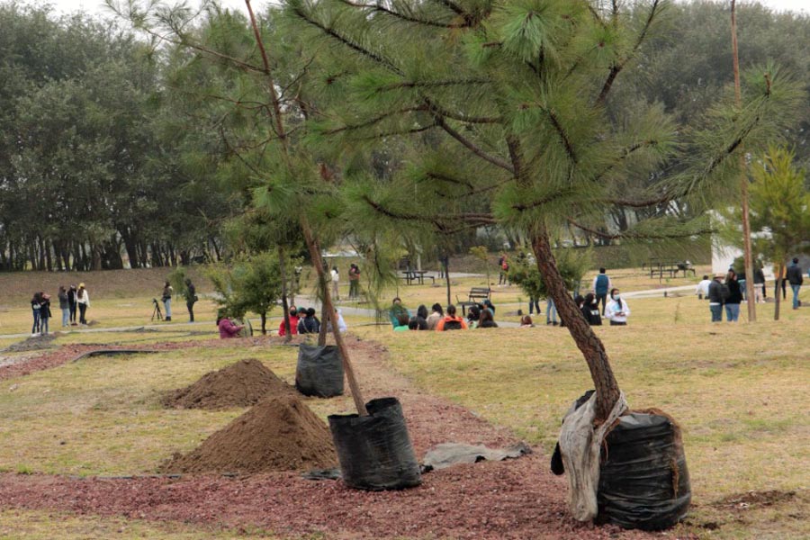 Suma Medio Ambiente 200 mil plantas sembradas en Puebla