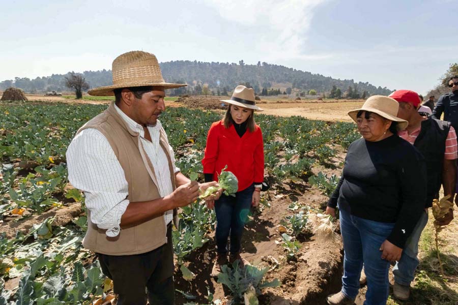 Supervisó Paola Angon beneficios del apoyo al campo