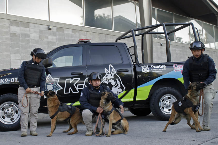 Se suman 10 caninos a la policía municipal de Puebla