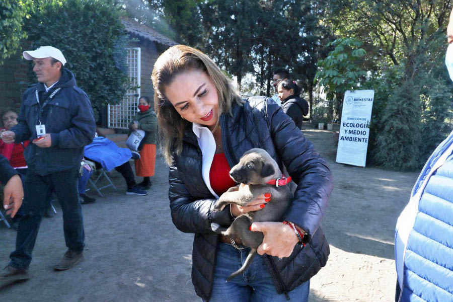 Promueve Paola Angon acciones en medio ambiente y animal