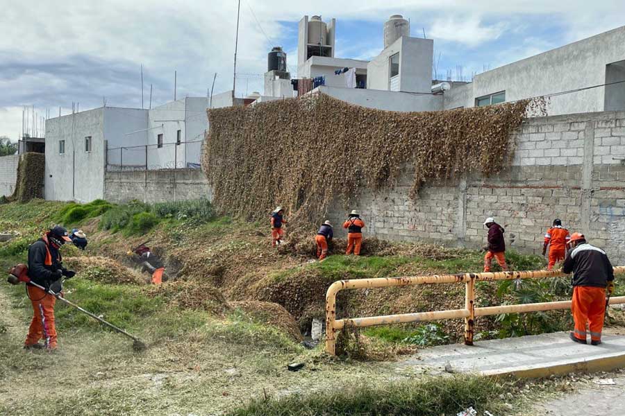 Limpian naranjitas barrancas del municipio de Puebla