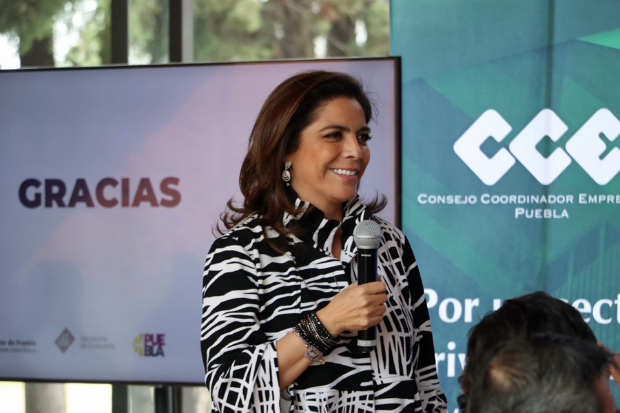 Participó Olivia Salomón en primera sesión del CCCE 2023