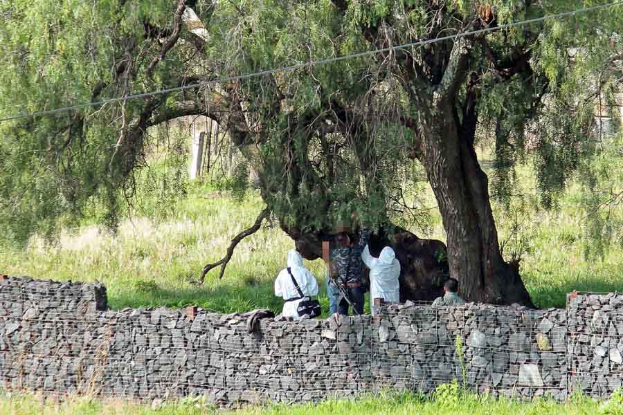 Mujer golpeada por su expareja se colgó de un árbol