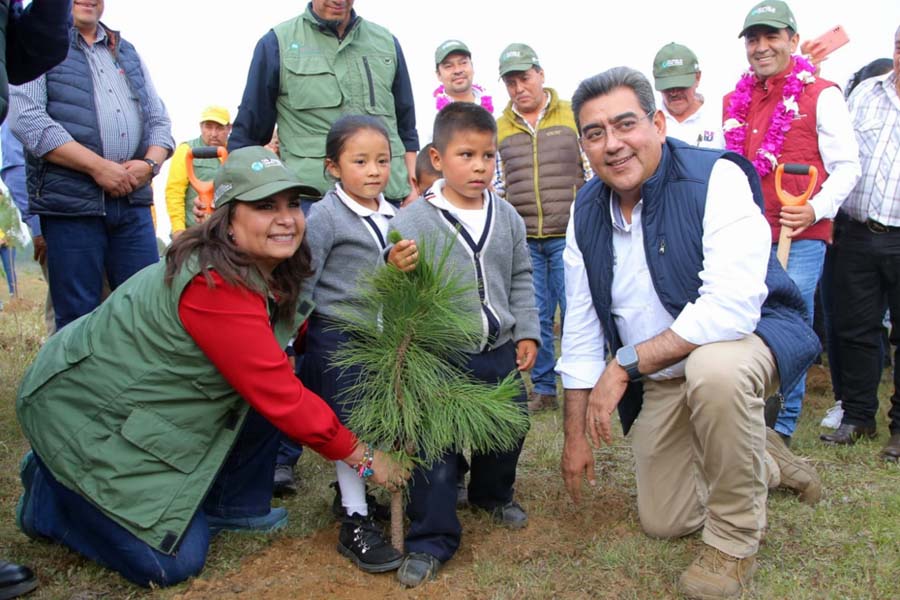 Además, serán sembrados un millón 600 mil árboles en la región. Durante la gira de trabajo, el titular del Ejecutivo también inauguró calles y entregó patrullas