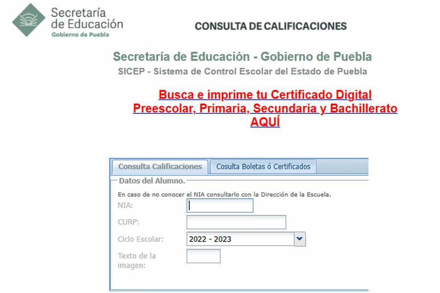 Anunció SEP descarga de certificados de conclusión de estudios