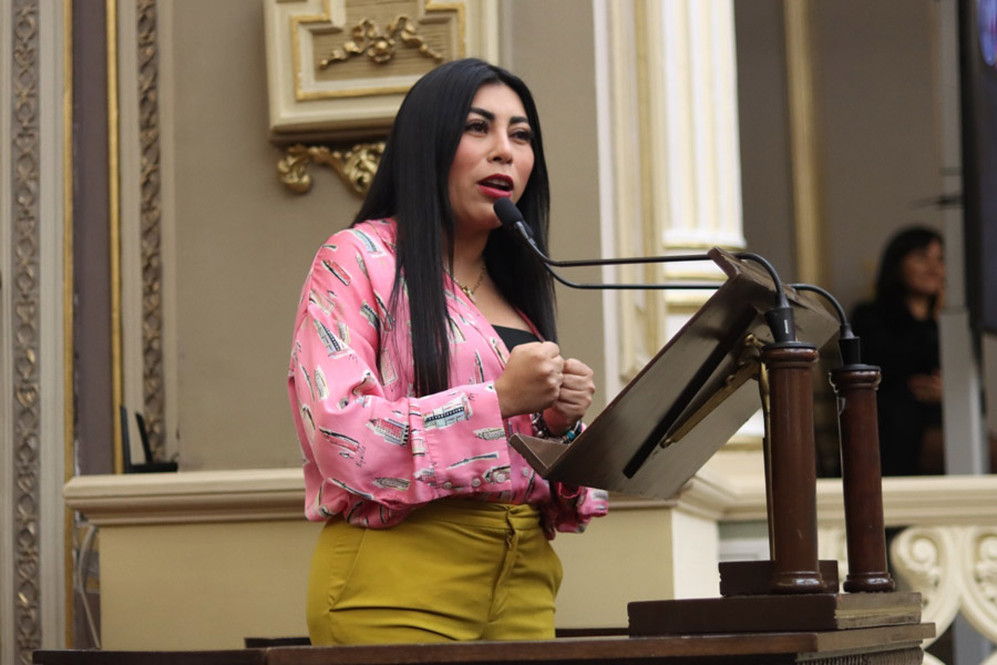 Aprobó Congreso agilizar procesos de adopción en Puebla