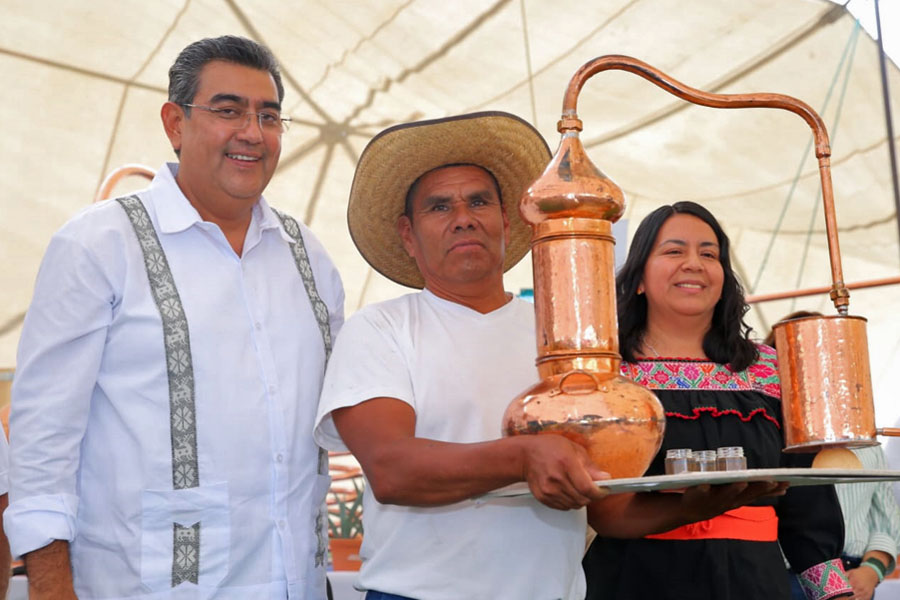 Inició Céspedes proyecto de Impulso al Agave Mezcalero