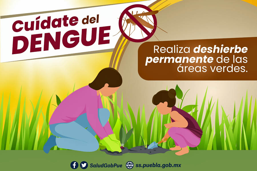 Acumula Puebla 939 casos de dengue y 3 muertes: Salud