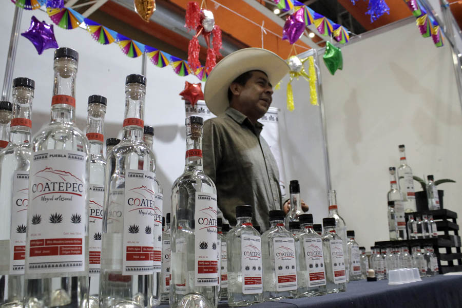 Invertirá Puebla 442 mdp para aumentar producción de mezcal: Céspedes