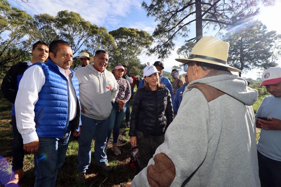 Encabezó Paola Angon reforestación en el cerro Zapotecas