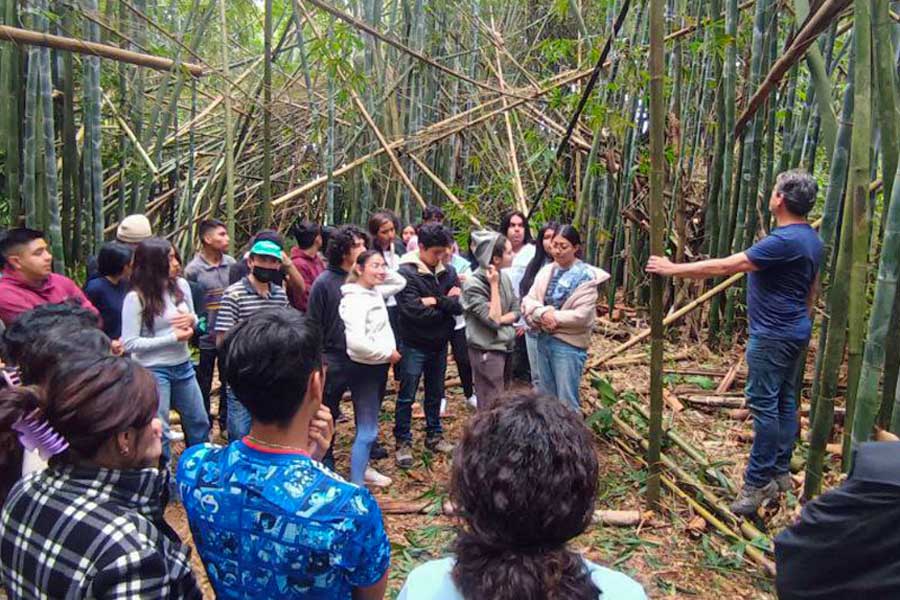 Realizan Estudiantes UDLAP proyecto con bambú en Cuetzalan