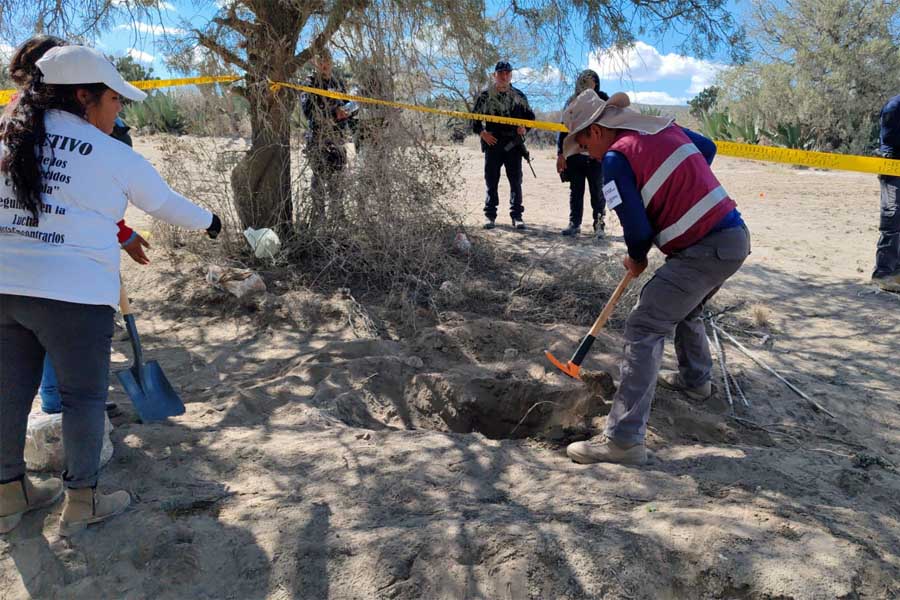 Hallaron fosa clandestina en Palmar de Bravo