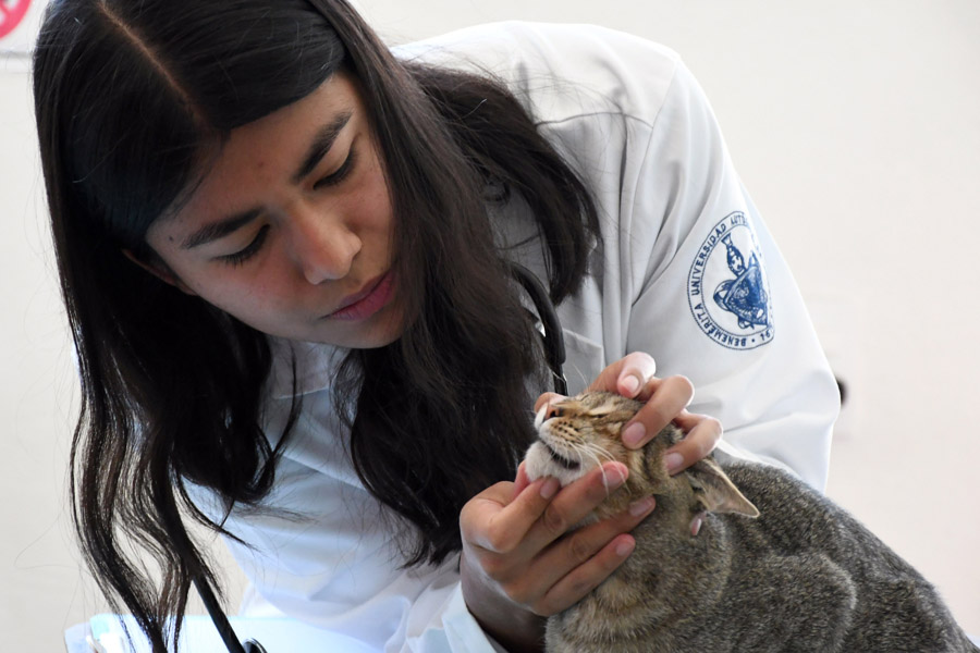 Destaca Hospital Veterinario de Pequeñas Especies de la BUAP