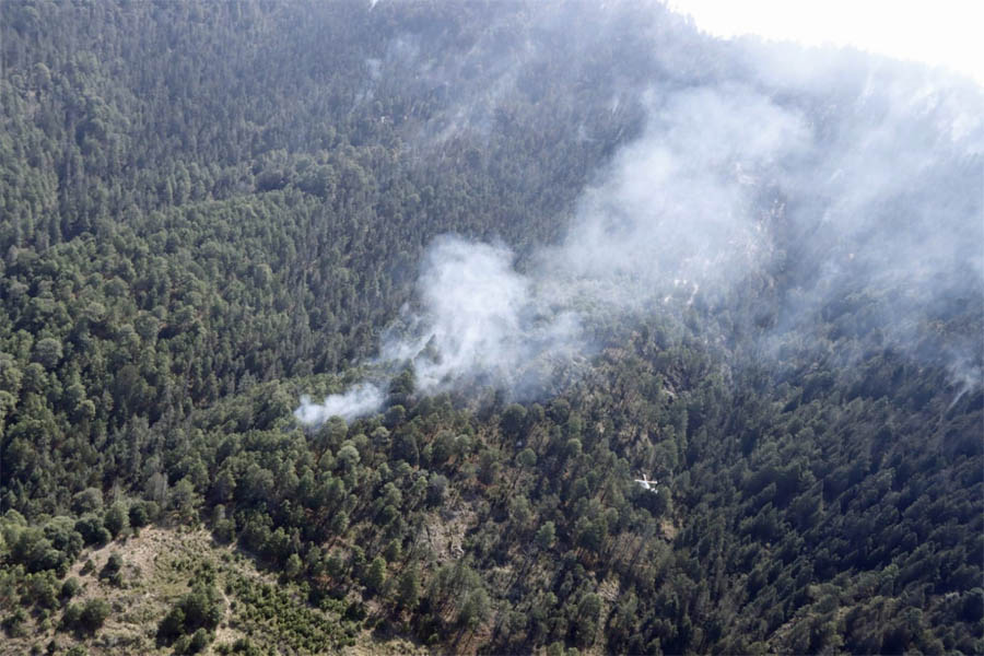 Liquidado al 85 % incendio forestal en Libres: SEGOB