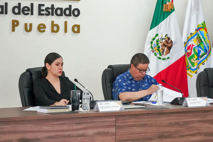 Asignó IEE diputaciones de representación proporcional