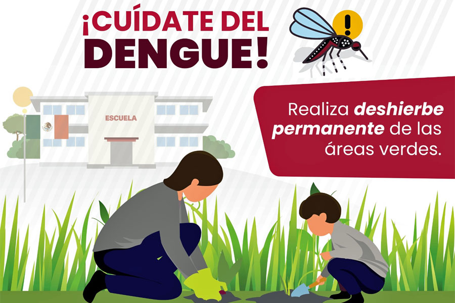 No hubo casos de dengue en las últimas 24 horas: Salud