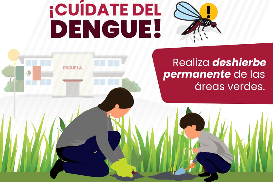 Reportó SSA 12 contagios de dengue en las últimas 24 horas