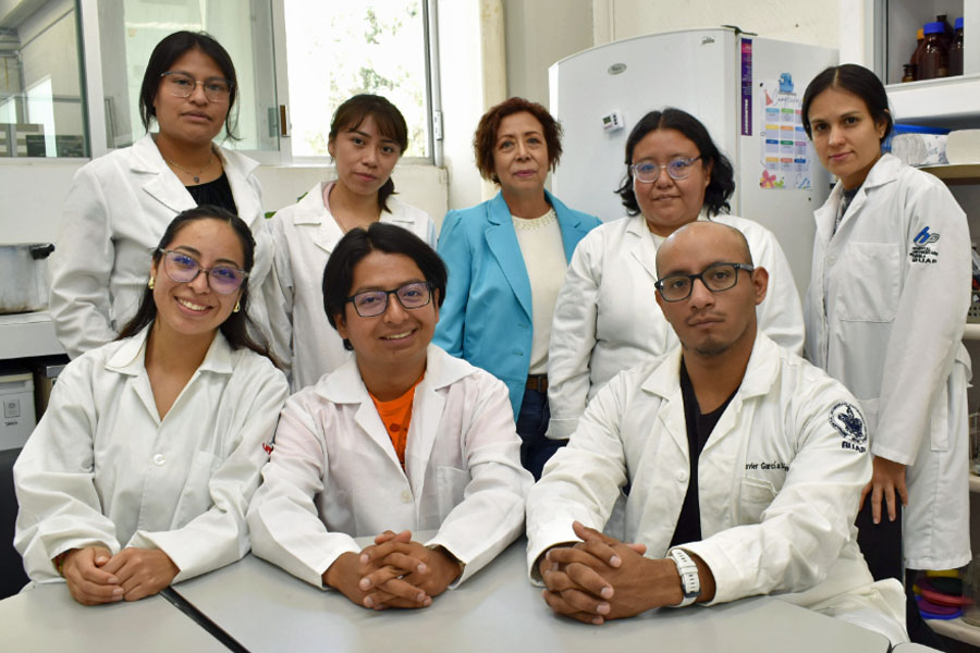 Inhiben pápalo y pipicha crecimiento de bacterias: BUAP