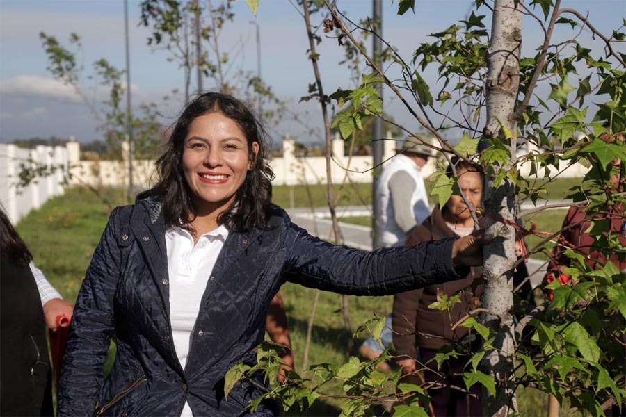 Inició Lupita Cuautle jornada de reforestación