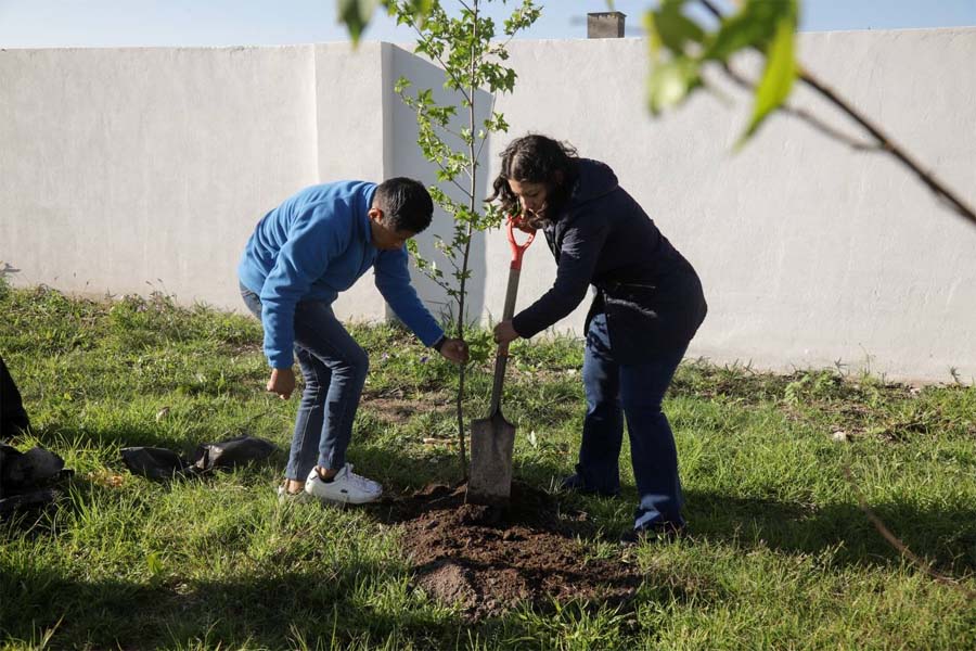 Inició Lupita Cuautle jornada de reforestación