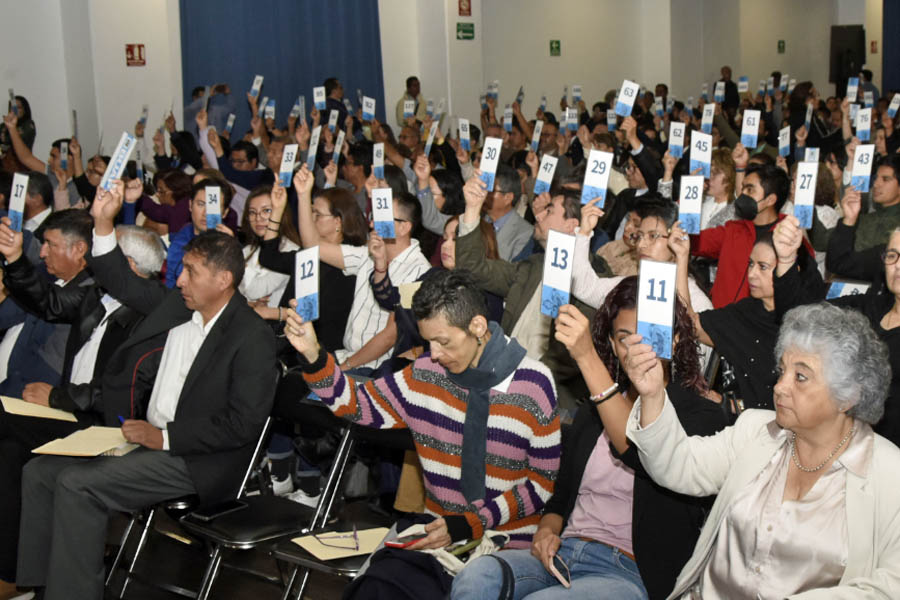 Pide Lilia Cedillo voto de confianza y diálogo en Comisiones