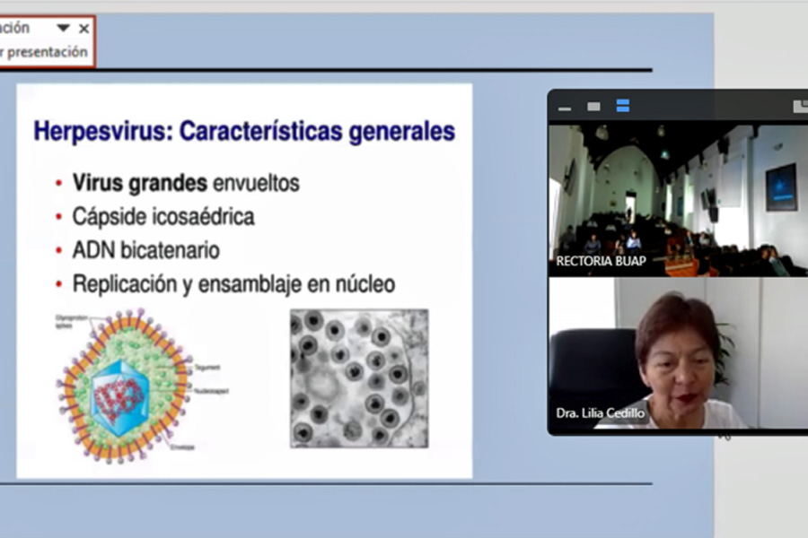 Enfermedades infecciosas; problema recurrente en el país: LC