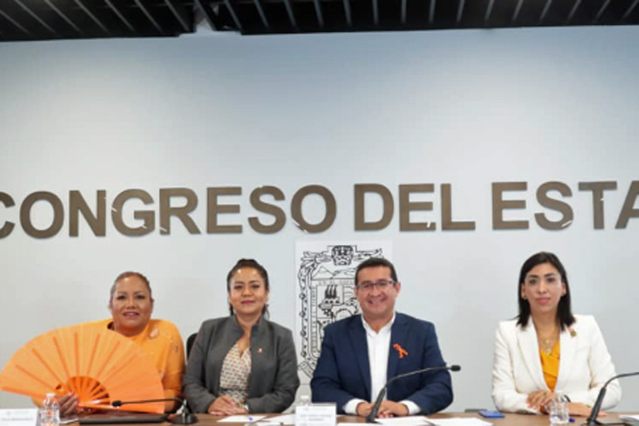 Garantiza Congreso vida libre de violencia a las mujeres
